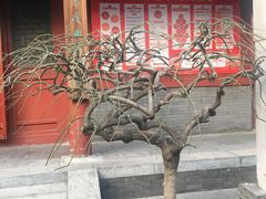 -北京湖广会馆