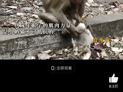 -昆明动物园
