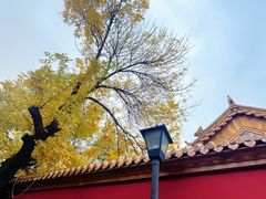 -16毫米咖啡&酒吧(南锣鼓巷店)