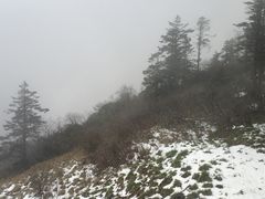 -西岭雪山大飞水景区