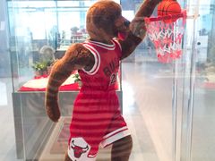 -济州岛泰迪熊博物馆