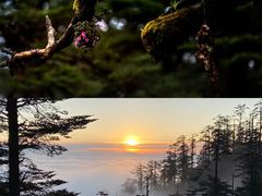 -瓦屋山景区