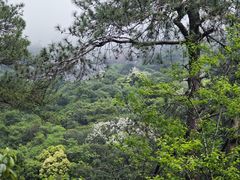 -黄山翡翠谷景区