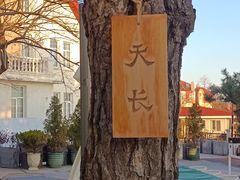 -如花大师咖啡·