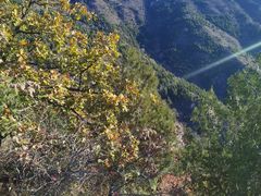-北京十三陵国家森林公园蟒山景区