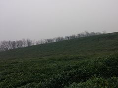 -南京市江宁方山