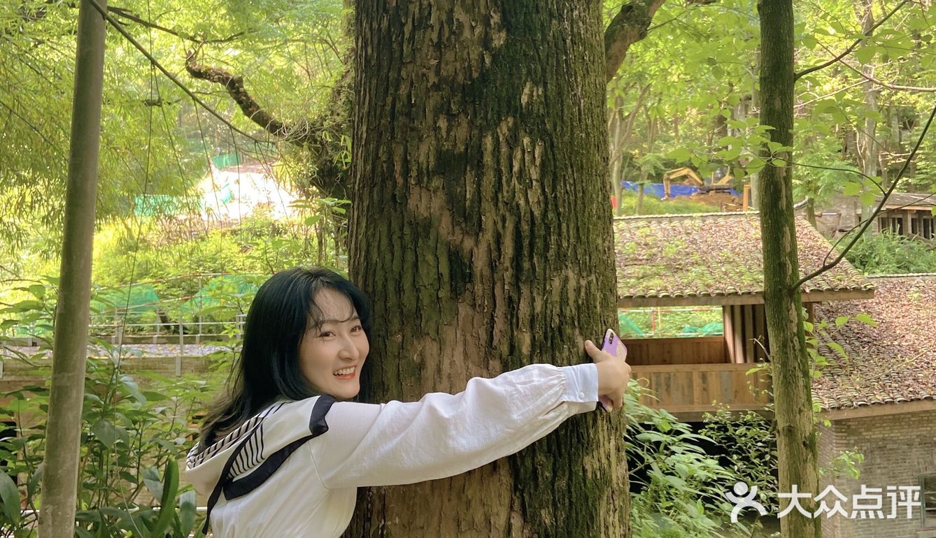 重庆小众景点｜🌳金刚碑古村落