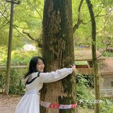 重庆小众景点｜🌳金刚碑古村落