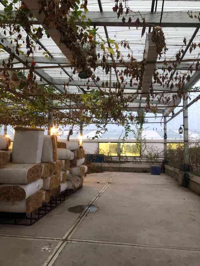 太空梦幻农场(大渡口万达广场店)-"太空梦幻农场有小孩的更要去,环境