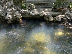 -普陀山风景名胜区-法雨禅寺