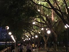 -珠江夜游广州塔·中大码头