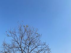 -三岔湖景区
