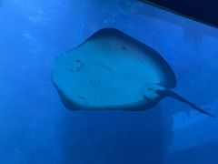 -海合安青岛极地海洋公园