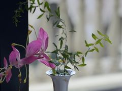 -江南雅厨(李公堤店)