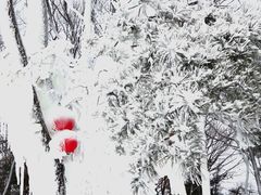 -沂蒙山旅游区云蒙景区(蒙山国家森林公园)