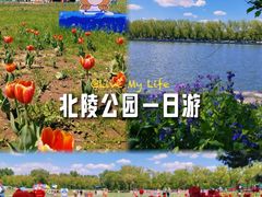 -北陵公园
