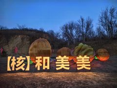-北京张裕爱斐堡酒庄