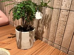 -CURRY YA 熟成咖哩專門店(深圳湾万象城店)