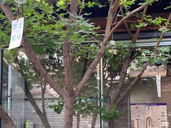 -VOYAGE COFFEE(杨梅竹店)