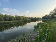 -养云安缦吧THE BAR