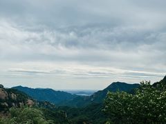 -大岭沟猕猴桃谷风景区