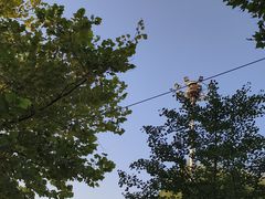 -富斯特索道
