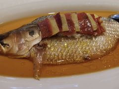 -老洋房花园饭店(绍兴路店)