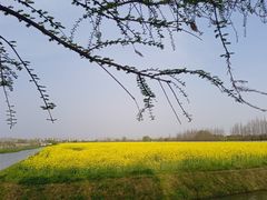 -嘉北郊野公园