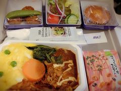 -全日本空输株式会社(上海办事处)