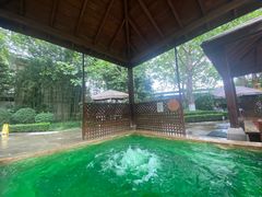 -春晖园度假酒店温泉