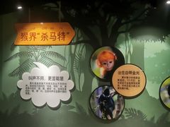 -武汉动物园