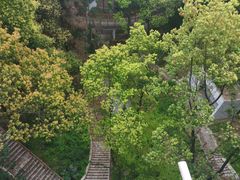 -南山植物园