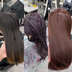 -THE LOG SALON 记录