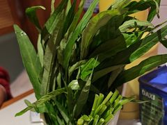 空心菜-螺大喜螺蛳粉火锅(雍和宫店)