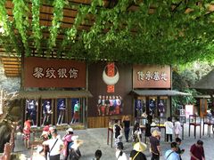 -海南槟榔谷黎苗文化旅游区