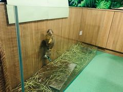 -藦茜花园宠物主题亲子互动体验馆(国顺东路店)