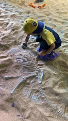 -恐龙探索乐园(磁器口店)