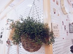 -白日梦奶茶