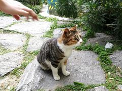 -静安公园(静安寺街道)