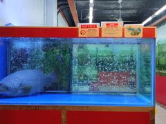 -大茄来海鲜餐厅(亚洲城分行)