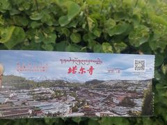 -塔尔寺游客服务中心