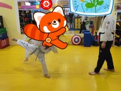 -浛道跆拳道·拳击·体适能