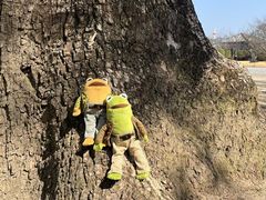 -大垣书店(烏丸三条店)