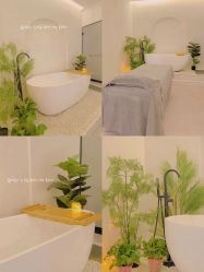 -VE专注问题肌·赛诺龙&科学美肤中心