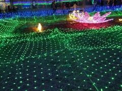 -枫花园汽车电影院(朝阳公园店)