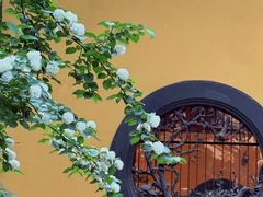 -灵隐飞来峰景区