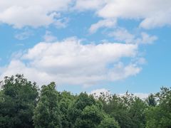 -盘龙城国家考古遗址公园