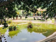 -泉州海丝野生动物世界