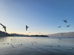 -大理洱海