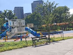 -新江湾城公园